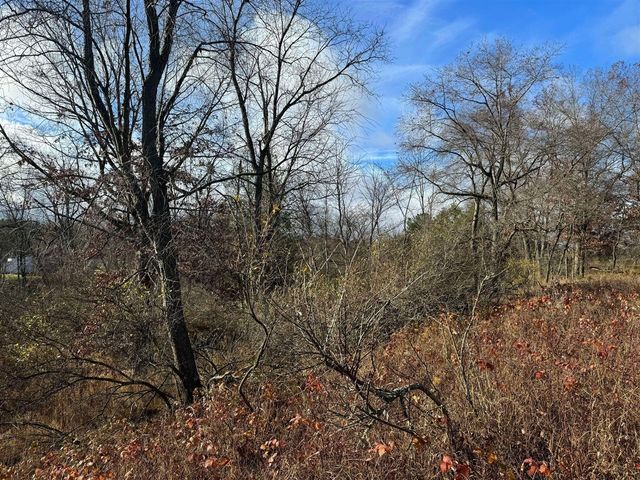 524 S Cherry Street, Evart, MI 49631