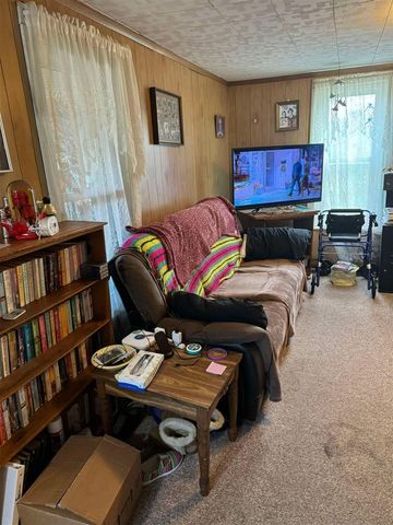 524 S Cherry Street, Evart, MI 49631