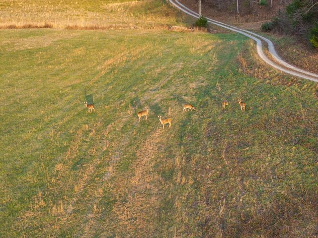 684 Martin Cemetary Road, Manchester, KY 40962