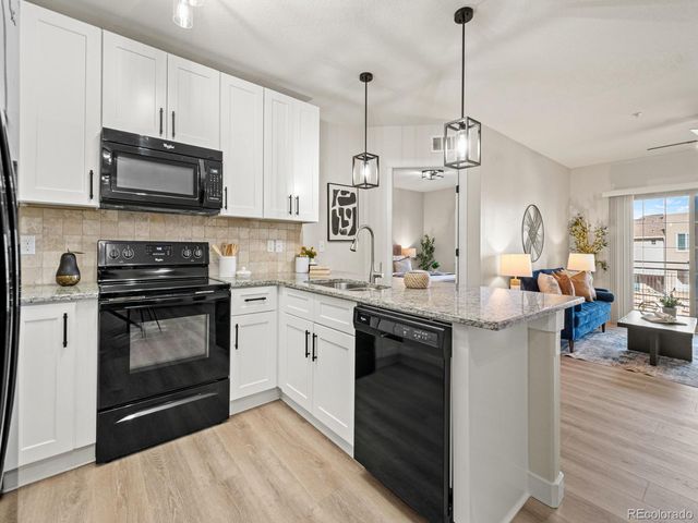 725 Elmhurst Drive 208, Highlands Ranch, CO 80129