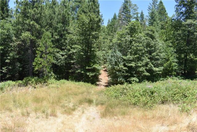 11605 La Porte Road, Challenge, CA 95925