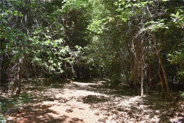 11605 La Porte Road, Challenge, CA 95925