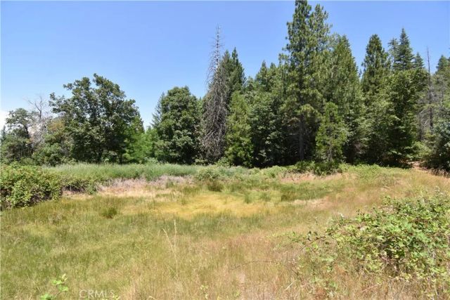 11605 La Porte Road, Challenge, CA 95925