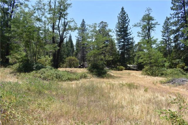 11605 La Porte Road, Challenge, CA 95925