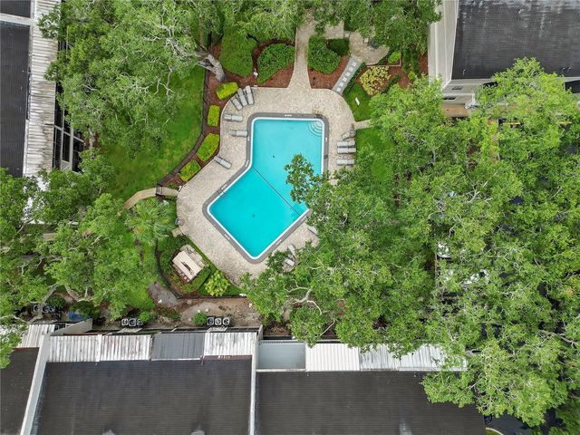 14466 REUTER STRASSE CIRCLE 501, Tampa, FL 33613