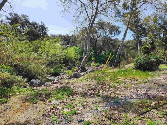 4800 Street, Fallbrook, CA 92028