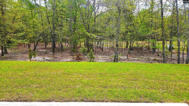 306 Frog Leap Road, Blythewood, SC 29016