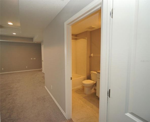 19460 BLOSSOM VINE LANE, Lutz, FL 33558
