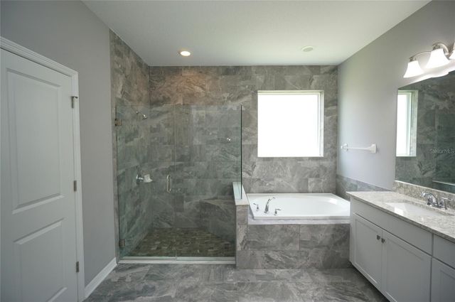 19460 BLOSSOM VINE LANE, Lutz, FL 33558