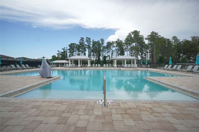 19460 BLOSSOM VINE LANE, Lutz, FL 33558