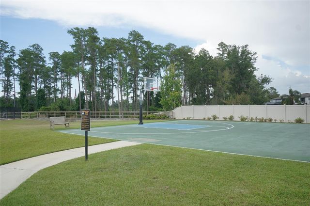 19460 BLOSSOM VINE LANE, Lutz, FL 33558