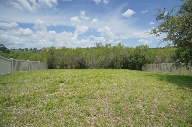 19460 BLOSSOM VINE LANE, Lutz, FL 33558