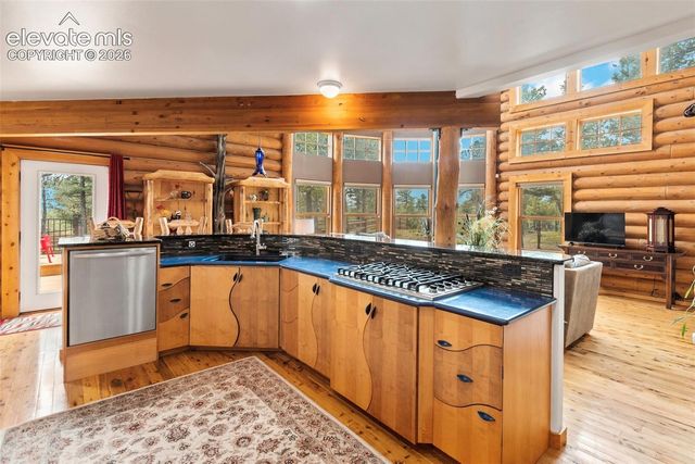 9 Arapahoe Street, Woodland Park, CO 80863