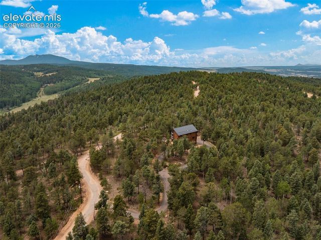 9 Arapahoe Street, Woodland Park, CO 80863