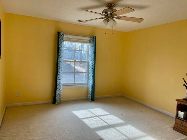 8028 OLD BROWNSVILLE RD, Bartlett, TN 38002