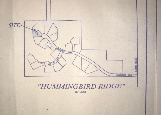 13175 Hummingbird Ridge, Davisburg, MI 48350