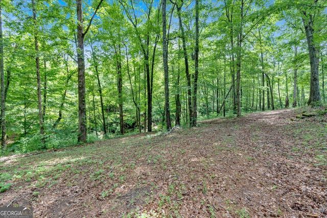 262 Jackson Shoals Road, Franklin, GA 30217