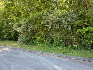 194 Elm Street, Decatur, TN 37322