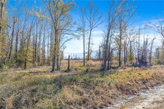 0 Mattie Reeves Road, Lake Charles, LA 70611