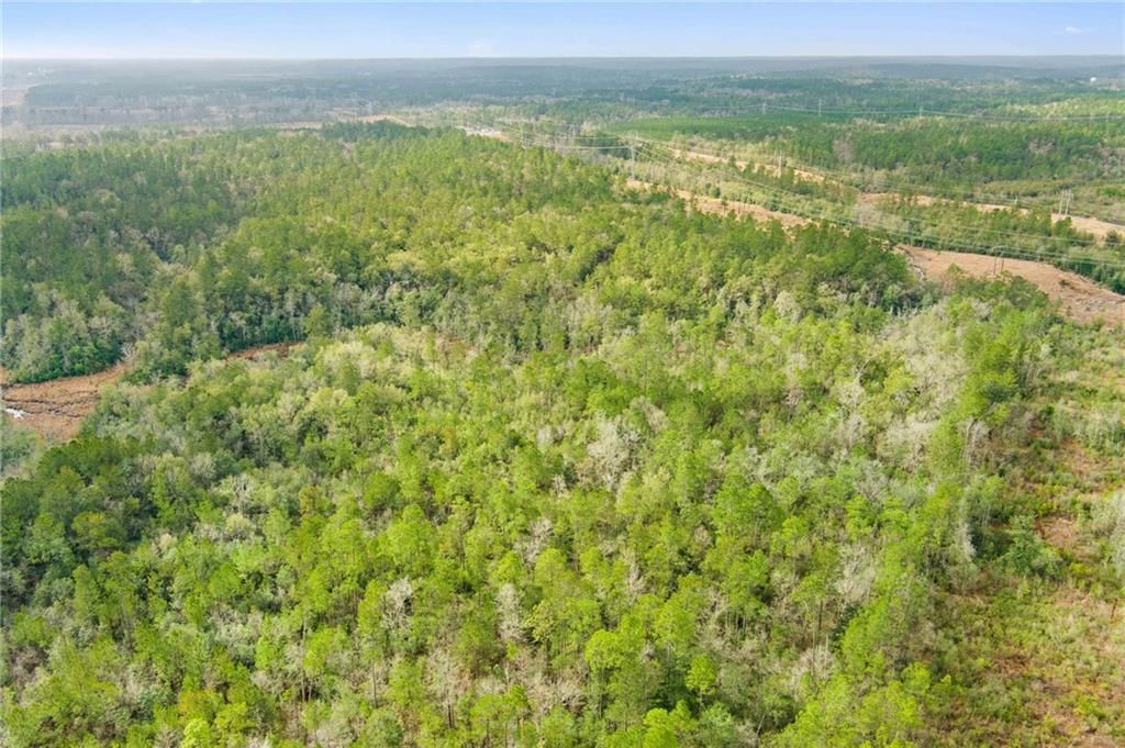 0 Andry Road, Mount Vernon, AL 36560 — exterior