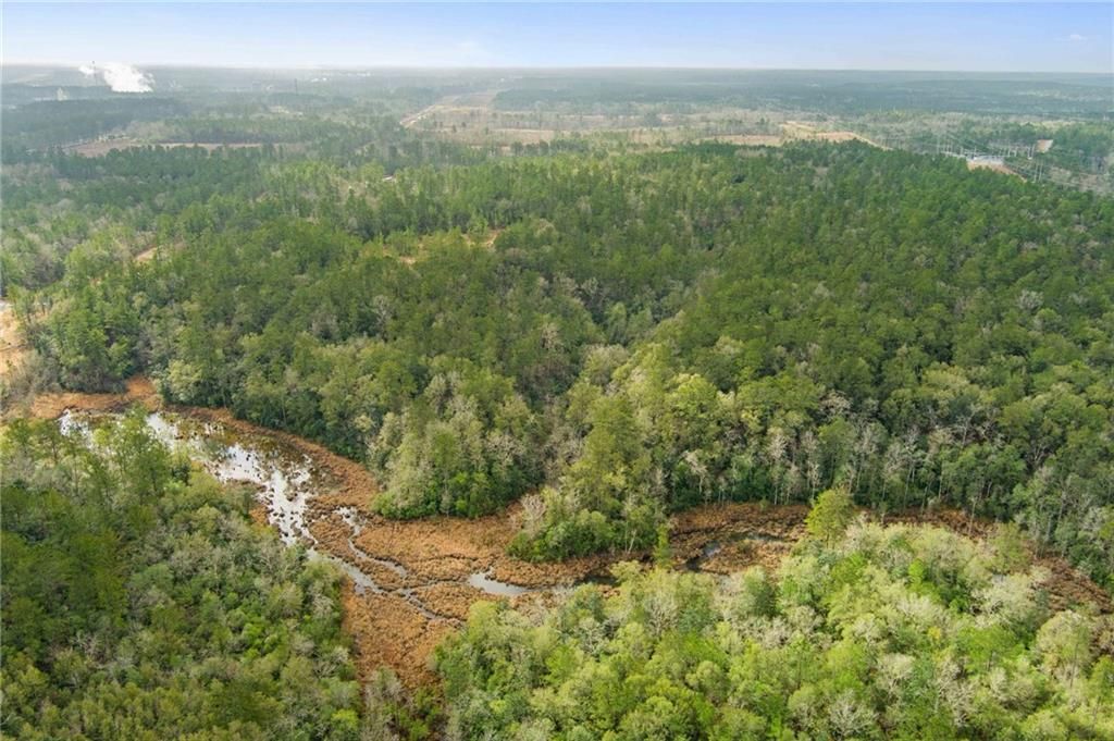 0 Andry Road, Mount Vernon, AL 36560 — photo 3