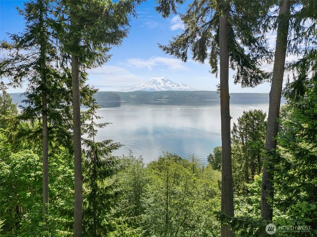 10823 Seaview Drive, Anderson Island, WA 98303