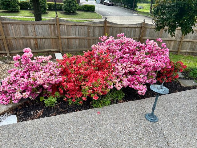 1377 Liberty Pike, Franklin, TN 37067