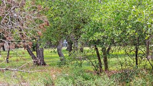 8801 Scarlet CIR, Austin, TX 78737