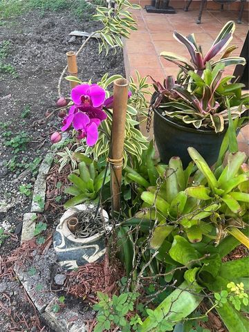 17540 SW 254th st, Homestead, FL 33031