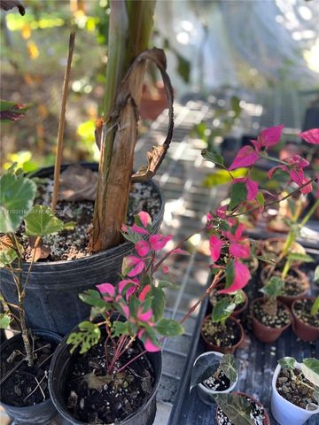 17540 SW 254th st, Homestead, FL 33031