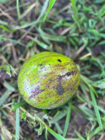 17540 SW 254th st, Homestead, FL 33031