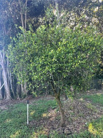 17540 SW 254th st, Homestead, FL 33031