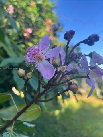 17540 SW 254th st, Homestead, FL 33031