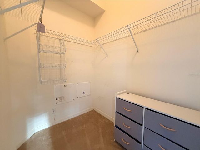 4212 BISMARCK PALM DRIVE, Tampa, FL 33610