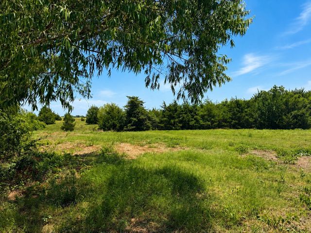 Tract C2-1 County Road 1140, Celeste, TX 75423