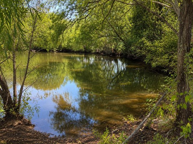 Tract C2-1 County Road 1140, Celeste, TX 75423