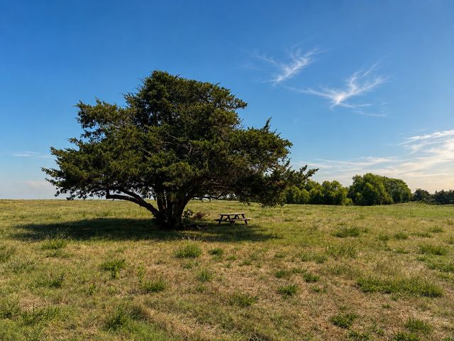 Tract C2-1 County Road 1140, Celeste, TX 75423