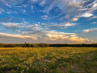 Tract C2-1 County Road 1140, Celeste, TX 75423