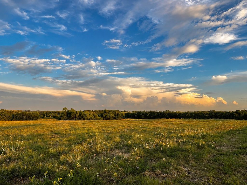 Tract C2-1 County Road 1140, Celeste, TX 75423