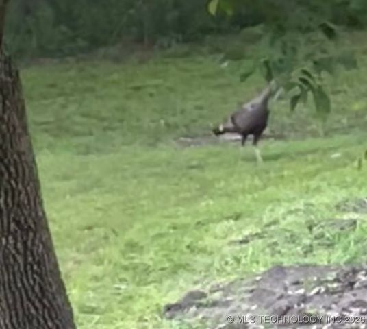 1701 N Hopi Street, Chouteau, OK 74337