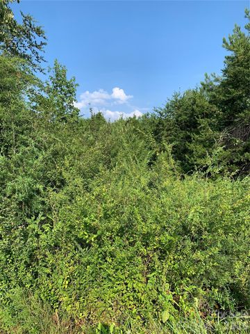 0 Rock House Road, Blacksburg, SC 29702