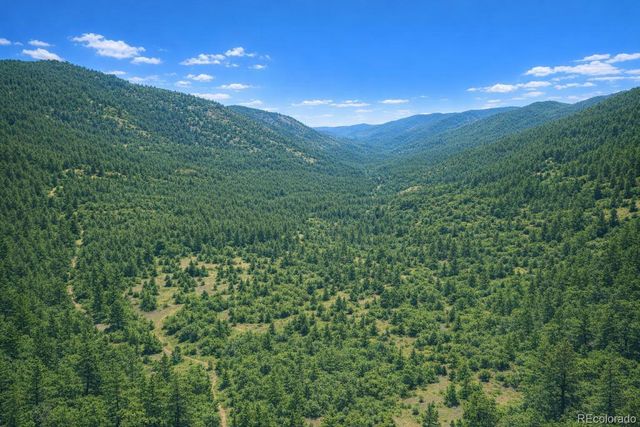 0 Arrowhead Road, Florissant, CO 80816
