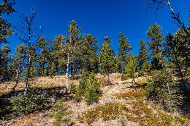 0 Arrowhead Road, Florissant, CO 80816