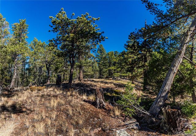 0 Arrowhead Road, Florissant, CO 80816