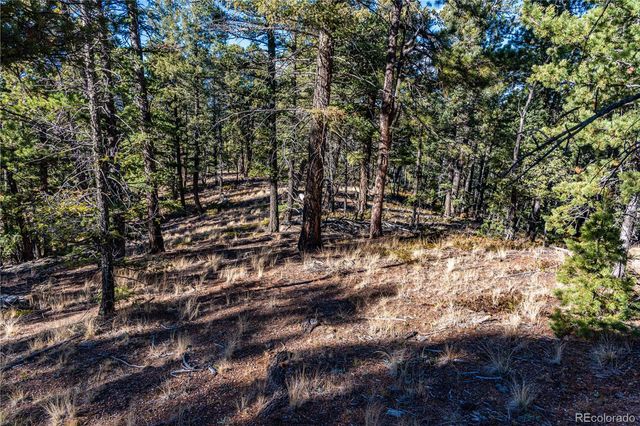 0 Arrowhead Road, Florissant, CO 80816