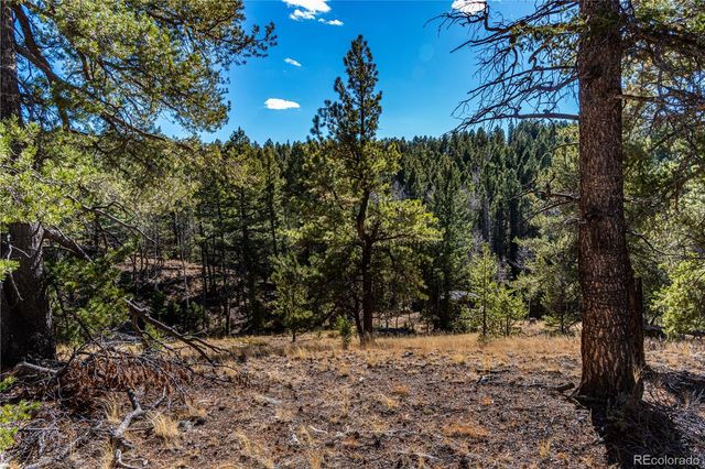 0 Arrowhead Road, Florissant, CO 80816