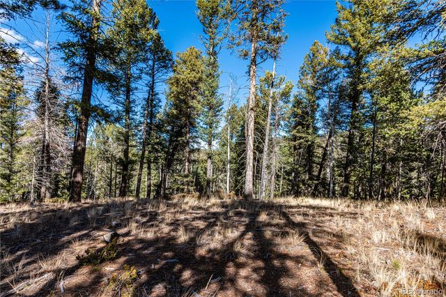 0 Arrowhead Road, Florissant, CO 80816