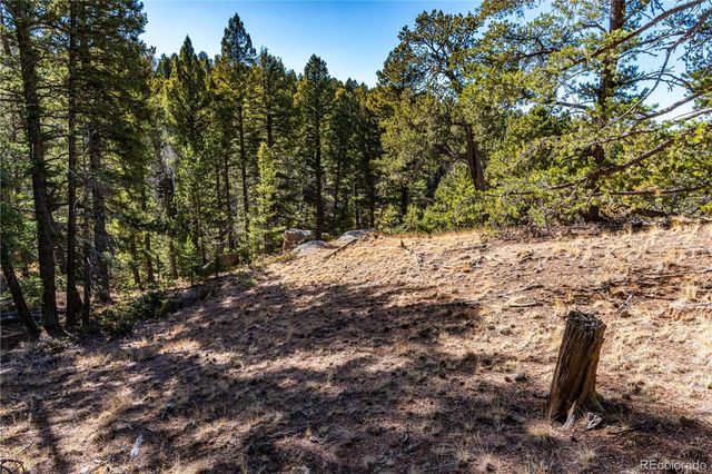 0 Arrowhead Road, Florissant, CO 80816