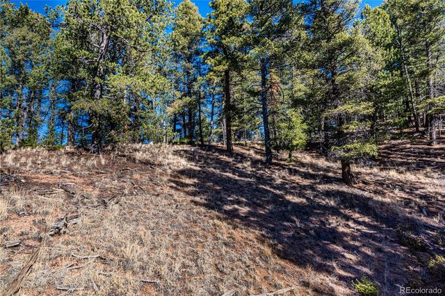0 Arrowhead Road, Florissant, CO 80816