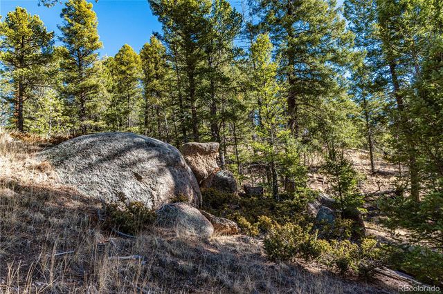 0 Arrowhead Road, Florissant, CO 80816